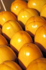 Spanish persimmon sales soar