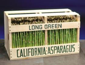California asparagus