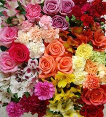 Indies flourish as flower sector evolves