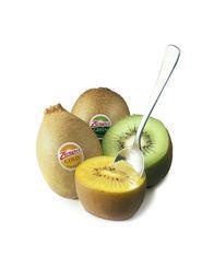 Zespri and T&G 'working well together'