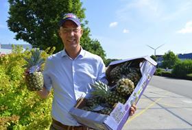 Henk Zoutewelle Eosta organic pineapples