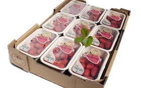 FLIA 2019 Top-sealable Compostable, Recycable Strawberry Punnet, CKF