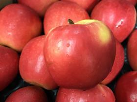 GEN apples London market