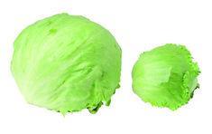 The lettuce is 75 per cent smaller than normal Icebergs