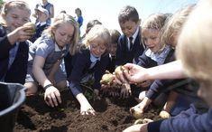 UK grow-your-own trend continues