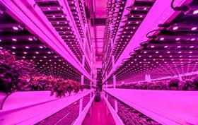 Staay Vertical Farm