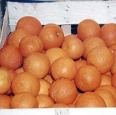 Spanish citrus output forecast to fall