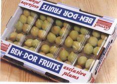 Israeli stonefruit prospects buoyant