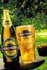 NI growers ride Magners wave
