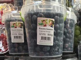 Blauwe bessen Greenery Jumbo