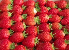 French strawberries