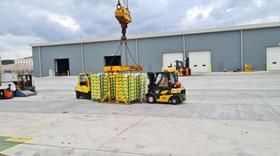 Crane delivering Caribbean fruit to Dover