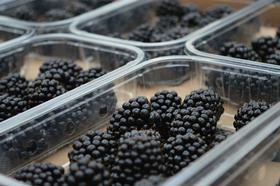 Driscoll's blackberries punnets
