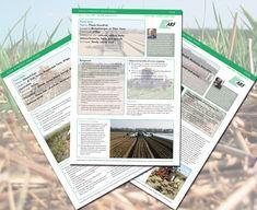 ARF launches Soils Information Gateway