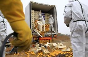 China destroys illegal Spanish citrus cargo