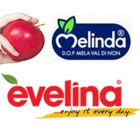 Melinda Evelina