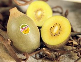 Zespri Gold kiwifruit