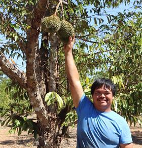 Han Shiong Siah Durian