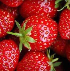 Its Fresh strawberries Food Freshness Technology