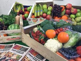 Millies York veg boxes