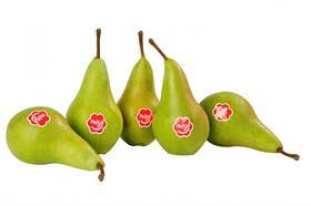 Migo pears