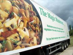 Magical mushrooms tour UK highways