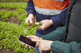 The Yield grower app
