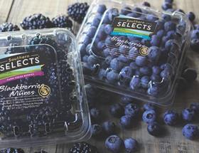 Southern Specialties blueberries and blackberries