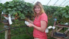 Total Berry’s research agronomist Dr Lindrea Latham