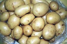 Potato sales up in France