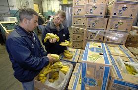 USDA inspects bananas