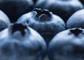 MCI blueberries