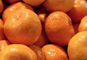 Imperial Mandarins