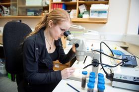 Raothamsted PhD student Kelly Jowett