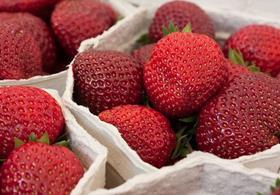 Copyright Dennis Irrgang Flickr strawberries Germany