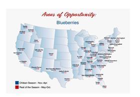 Chilean blueberries US opportunities