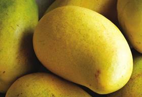 Ataulfo mangoes