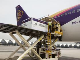 Thai Airways Cargo airfreight