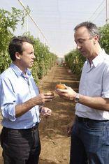 Hernan Cortes (pictured right) believes the crop could be the best for four years