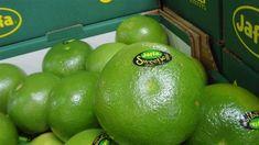 Israeli citrus makes early appearance
