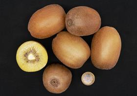 Soreli kiwifruit Italy