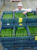 Brian Hibberd, md of Abbey View Produce