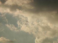 Concorde stages Journal fly-past