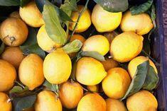 Citrus market firm as southern hemisphere picks up