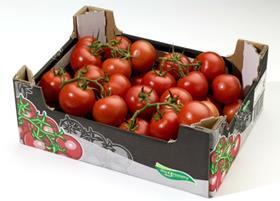 Greenery tomatoes