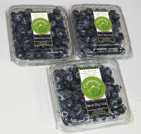 camposol blueberries