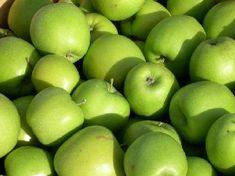 Scripps's Greenstar apples