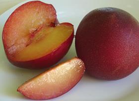 South Africa plums