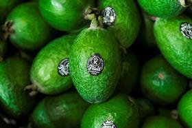 NZ Feijoa CREDIT T&G Fresh TAGS Feijoa New Zealand