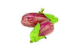 Stripy Aubergine won one of the top prizes at the event